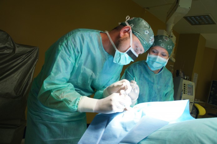A world novelty in Brno and in Bratislava – a gentle biological treatment of the retina
